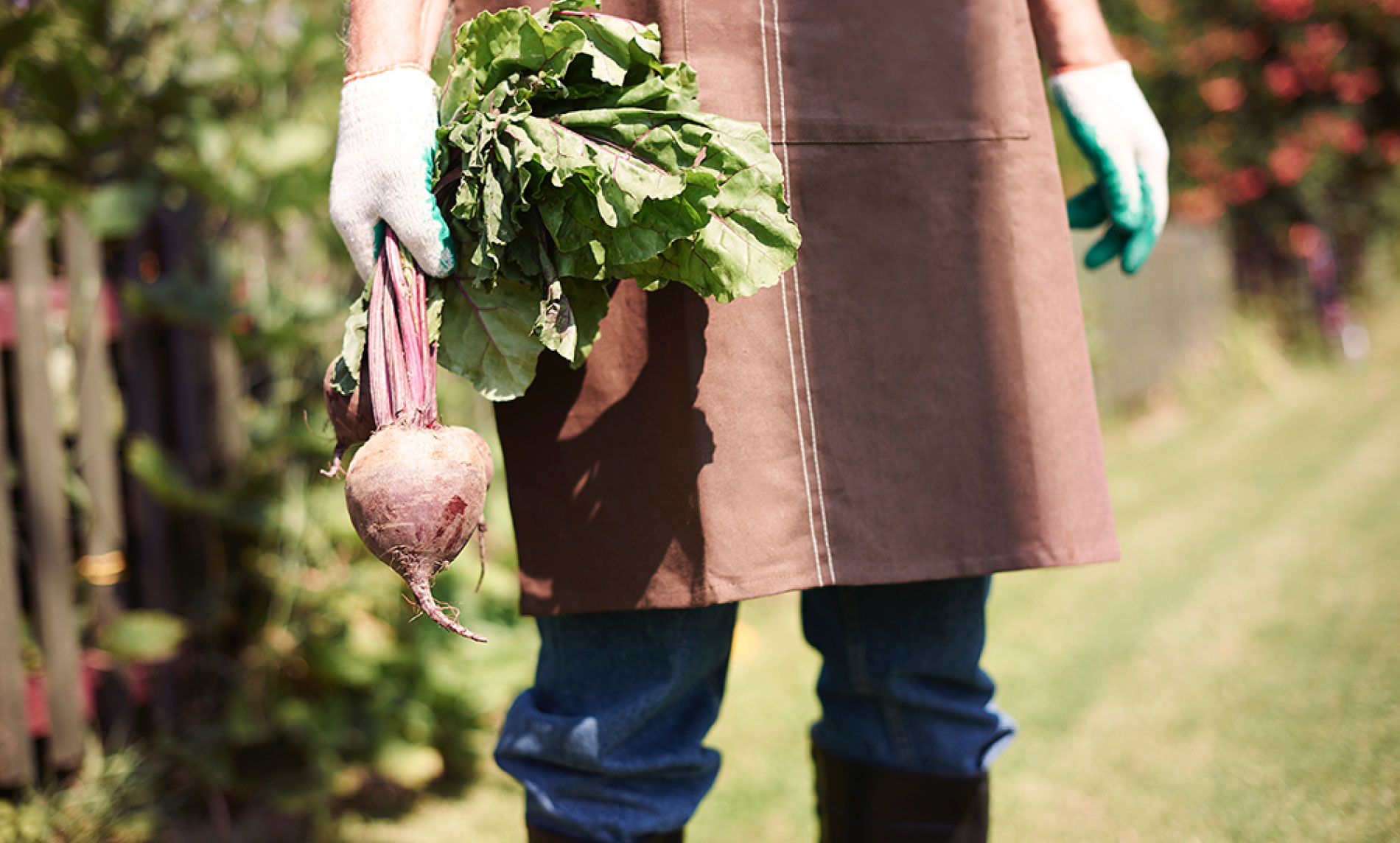 Органические овощи для здоровья